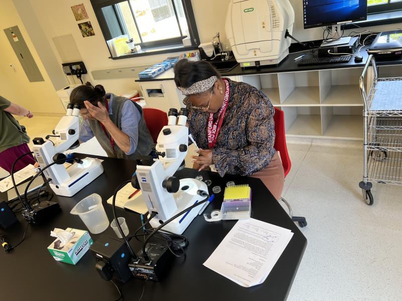 Two teachers look through dissecting microscopes in a Stanford Teaching and Learning Laboratory. 